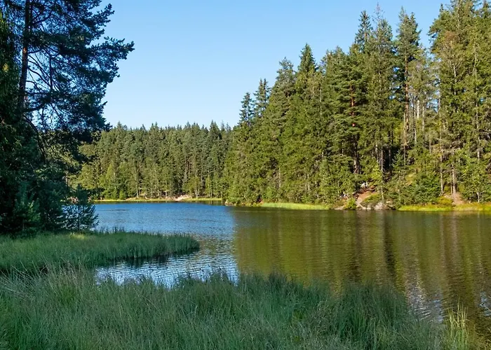 Familienwohnung Im Vogtland *